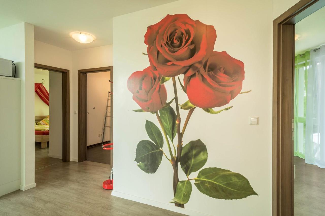 זיפלינגן Ferienwohnung Rose מראה חיצוני תמונה